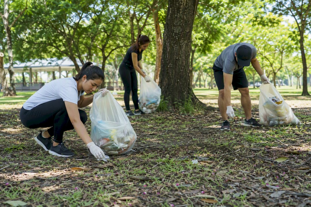 Volunteers collecting trash in urban park