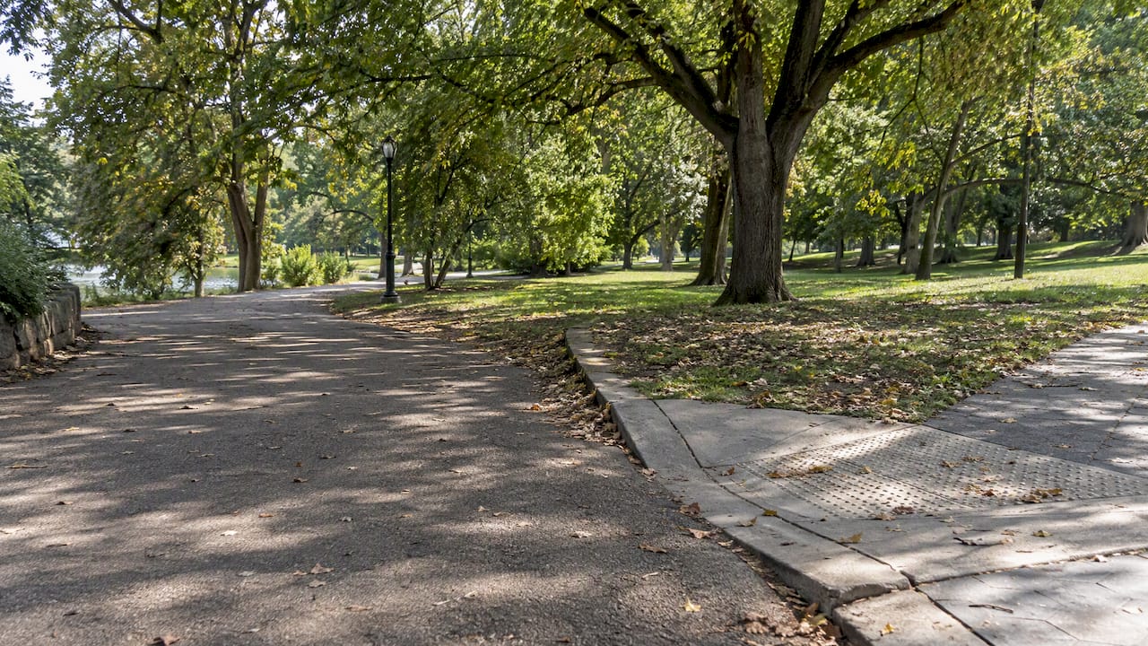 Shaded park path with a gentle curb ramp