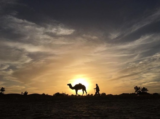 charity miles adventurers