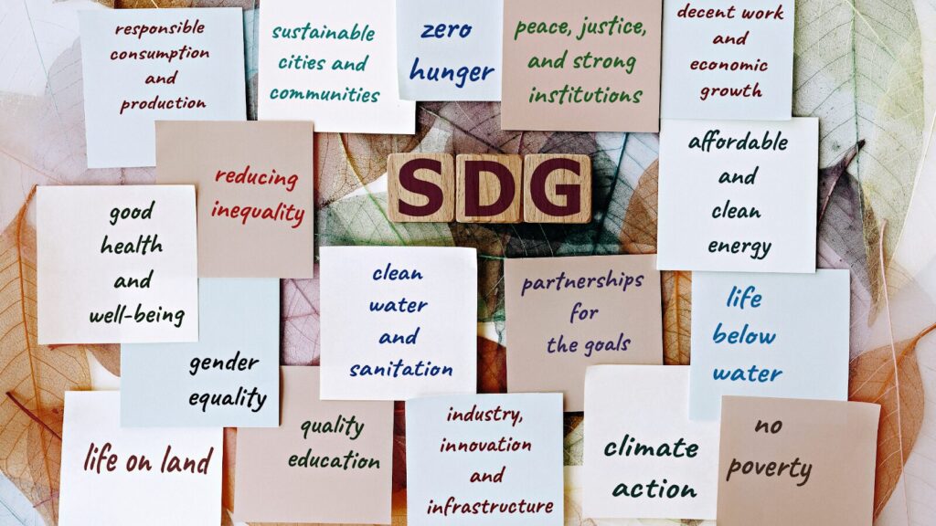 SDG Meaning: Sustainable Development Goals