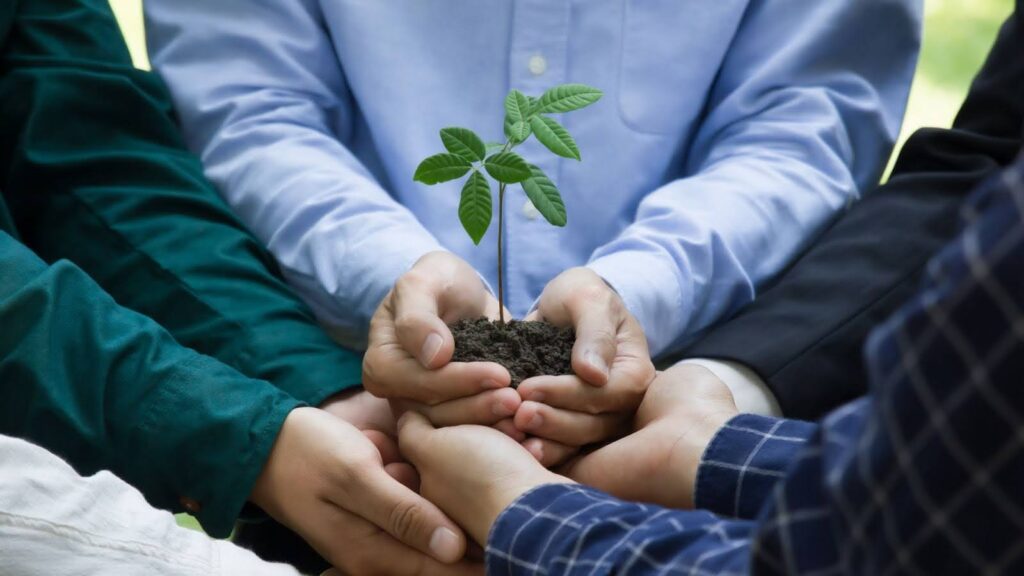 Social Responsibility